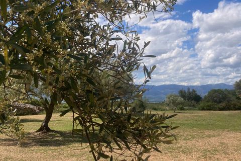 Landejendom i El Perello, Tarragona, El Perello - € 35.000 | Ref: Finca Godai Exc - foto 12
